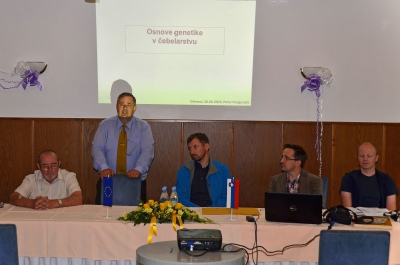 2015 Dan Kranjske Čebele 